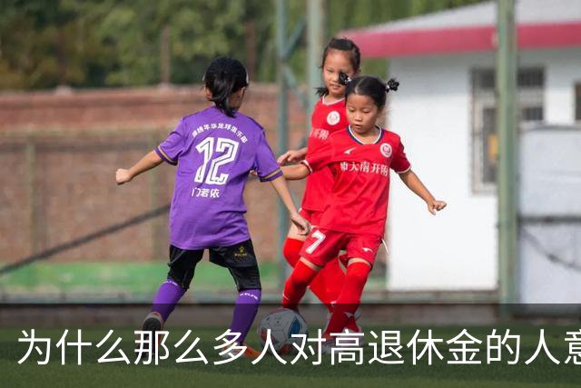 为什么那么多人对高退休金的人意见那么大？